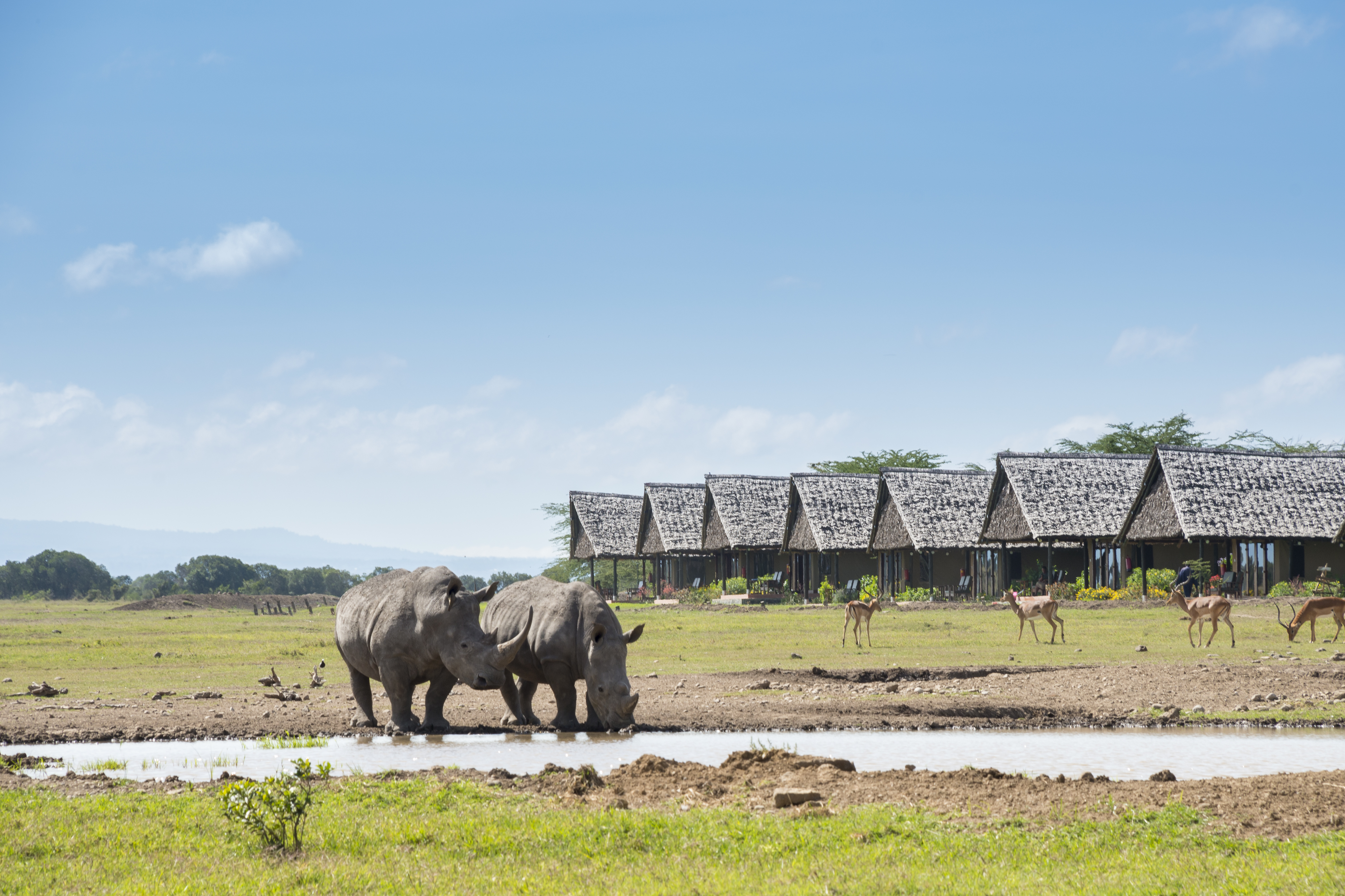 Sweetwaters Serena Camp