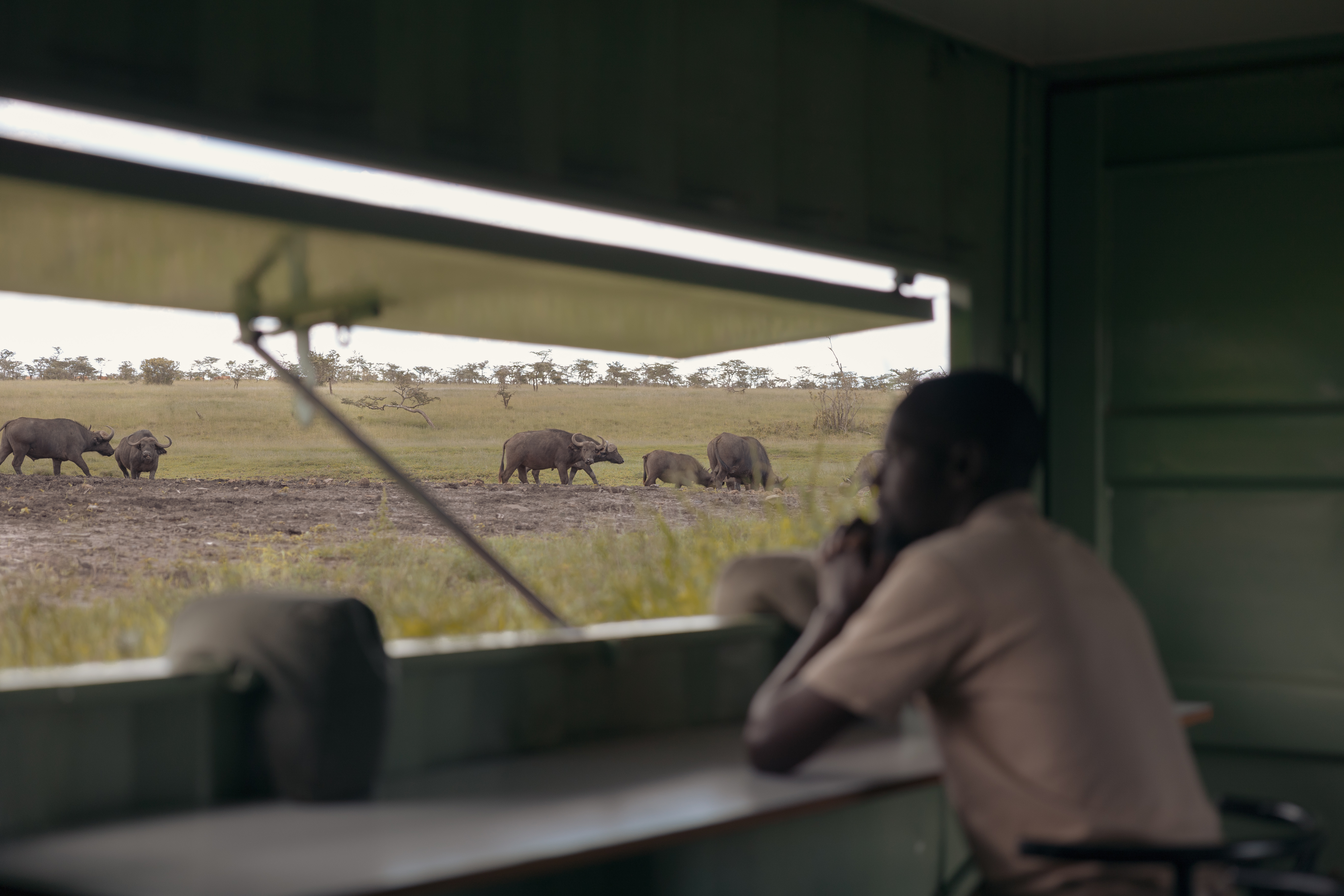 Porini Rhino Camp photographic hide