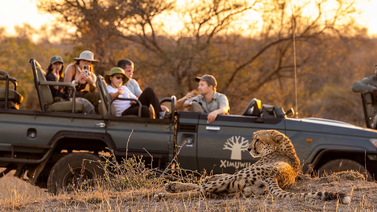 Open game-viewer vehicle on a safari drive