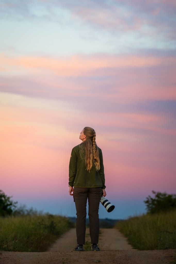 A lone figure with a camera walking a bush track under a pink sky