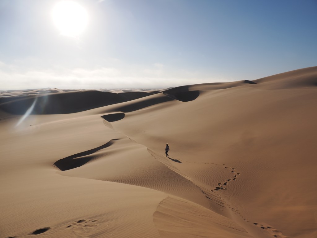Wind-sculpted dunes of the Namib outside Swakopmund