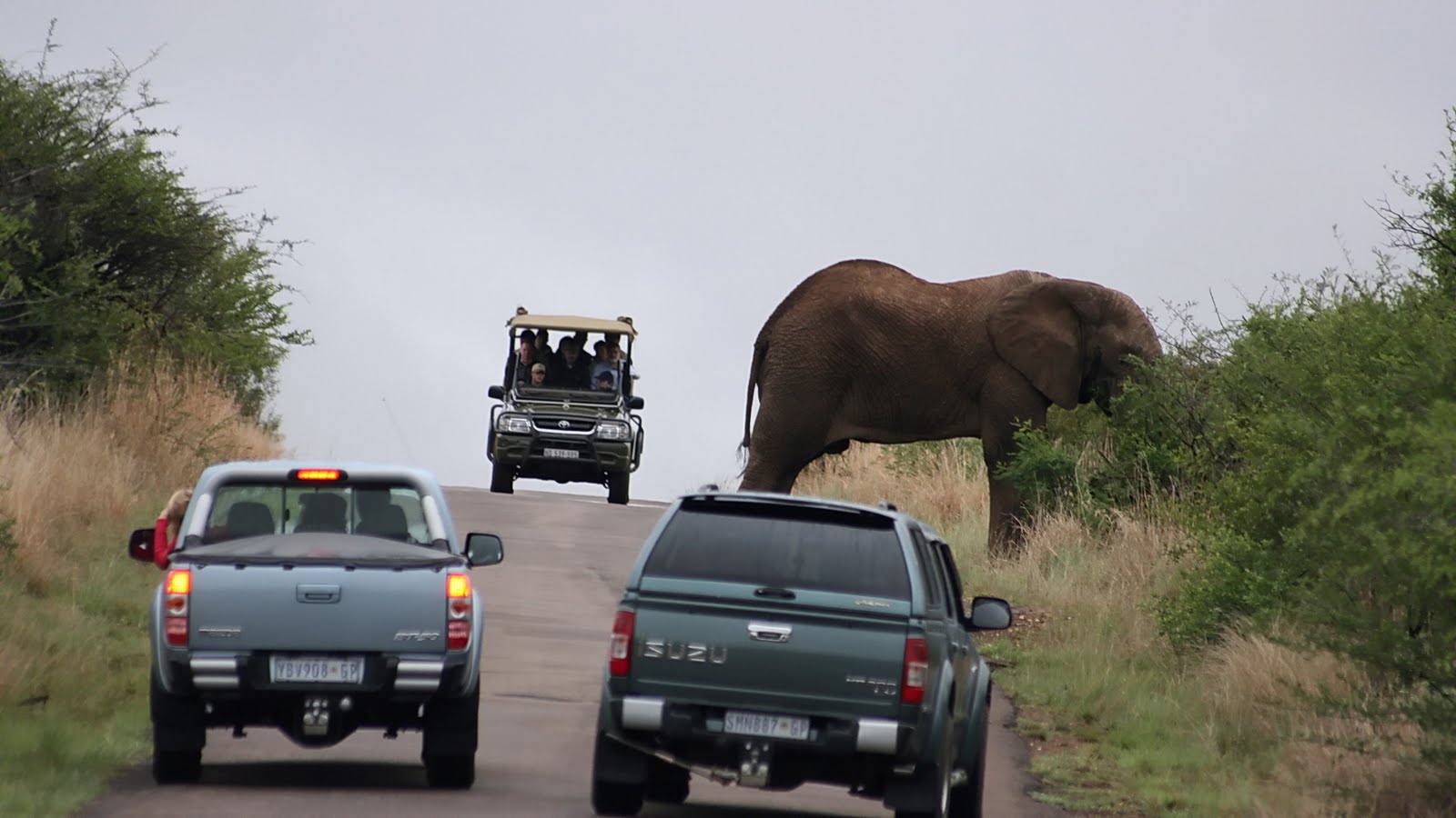 Game Reserves Near Johannesburg