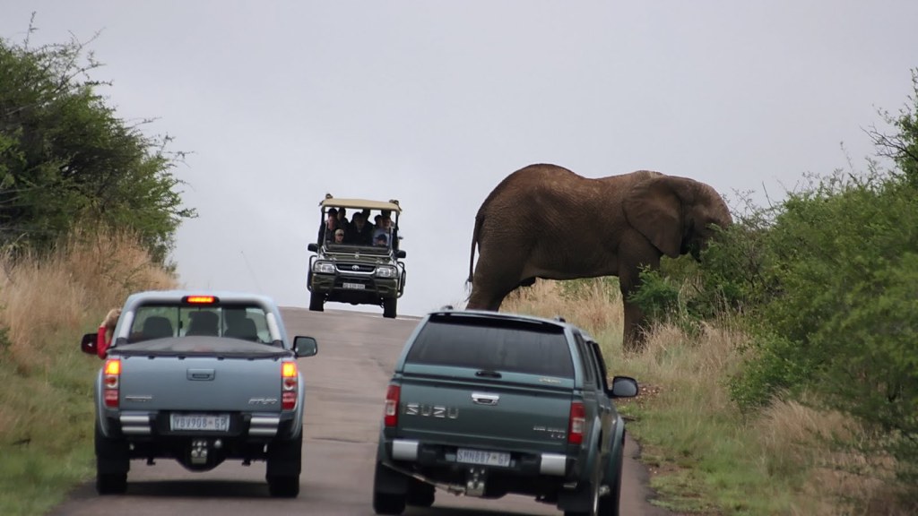 Game Reserves Near&nbsp;Johannesburg