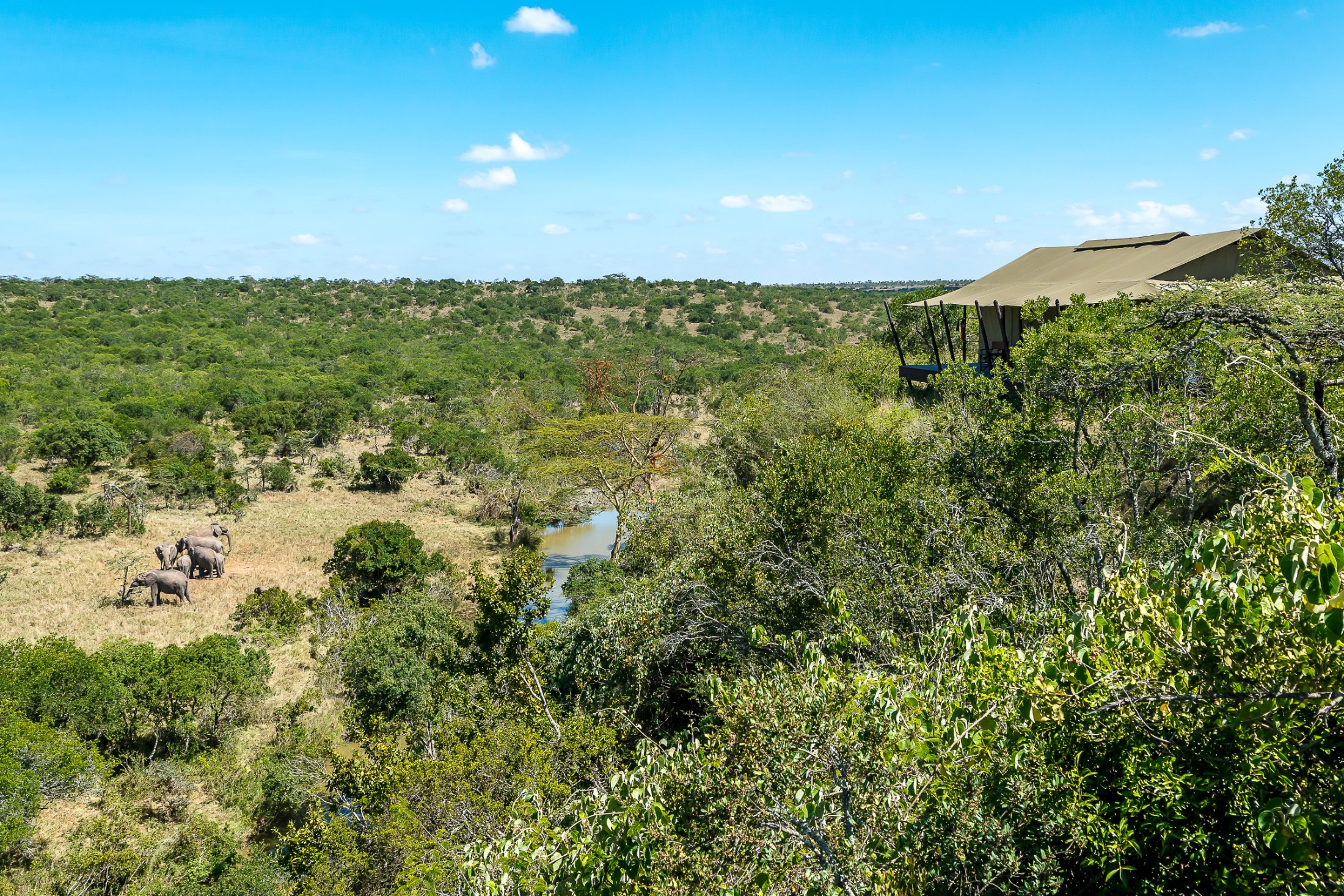 Mutara Camp, Laikipia