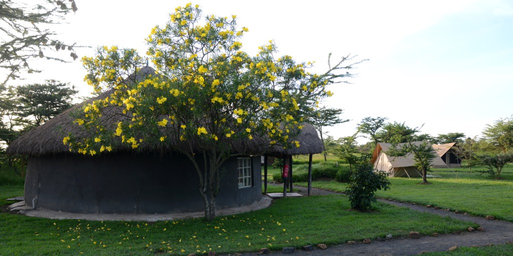 The Stables at Ol Pejeta Conservancy