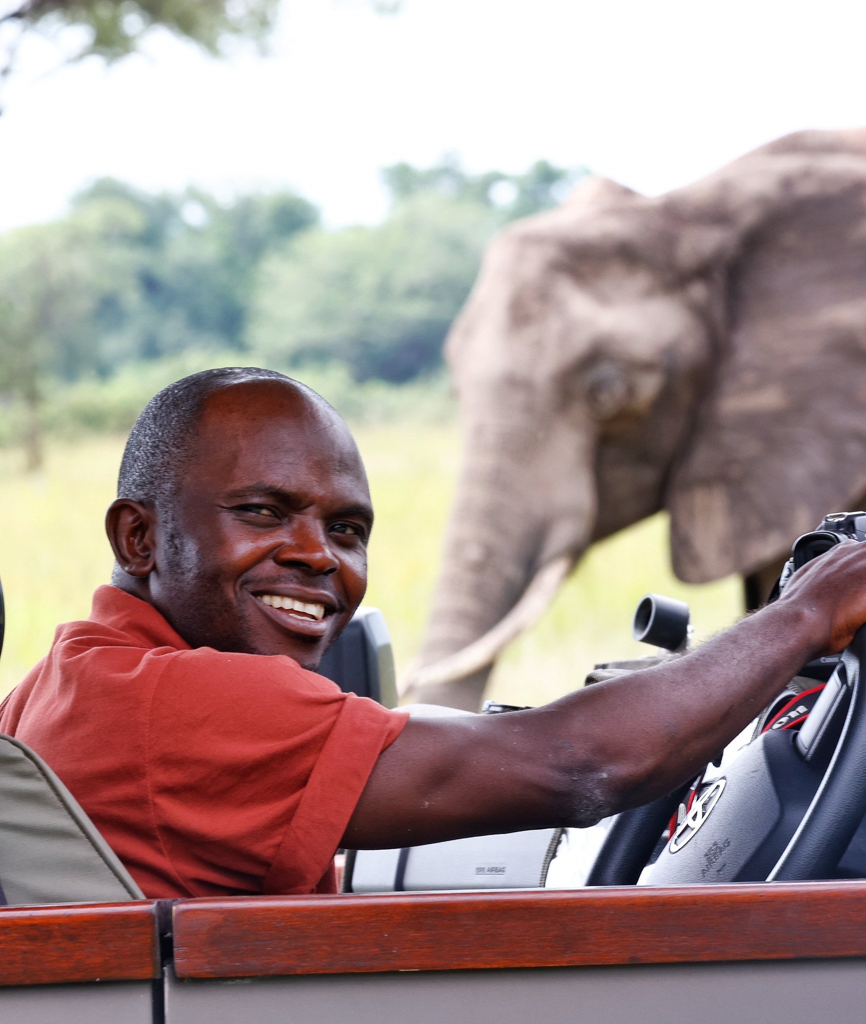 Safari guide at the wheel of a game viewer as an elephant walks past, South Luangwa, Zambia